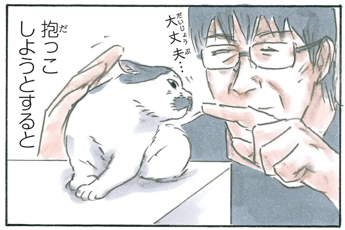 抱っこより好きなのは？ 子猫に「ノリ吉」という名前をつけた理由