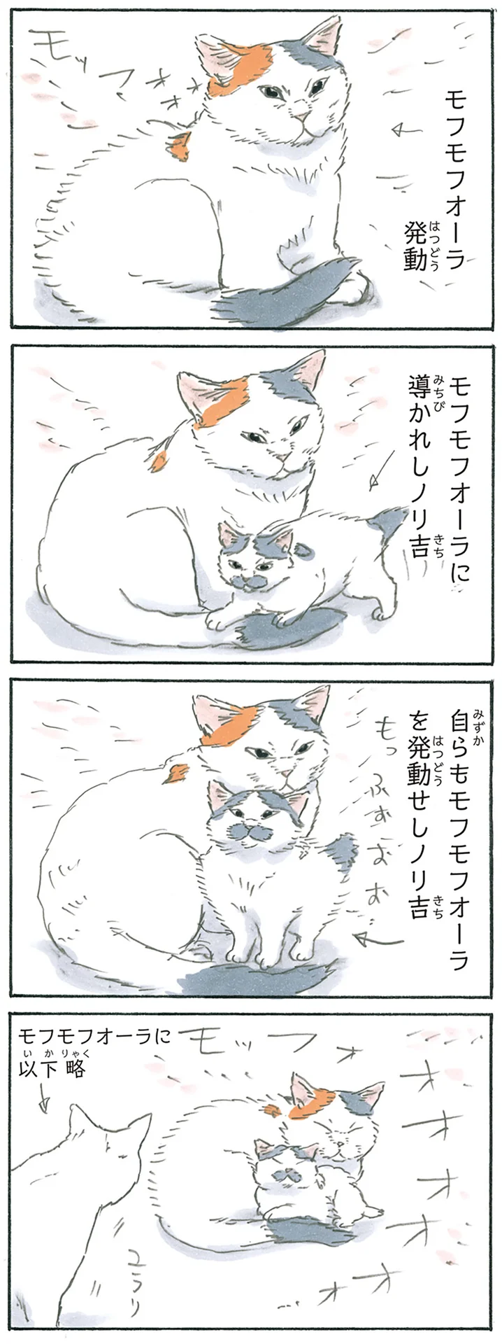みんな入っちゃう！ 猫の作った「巣穴」で見られる幸せな光景 - レタス