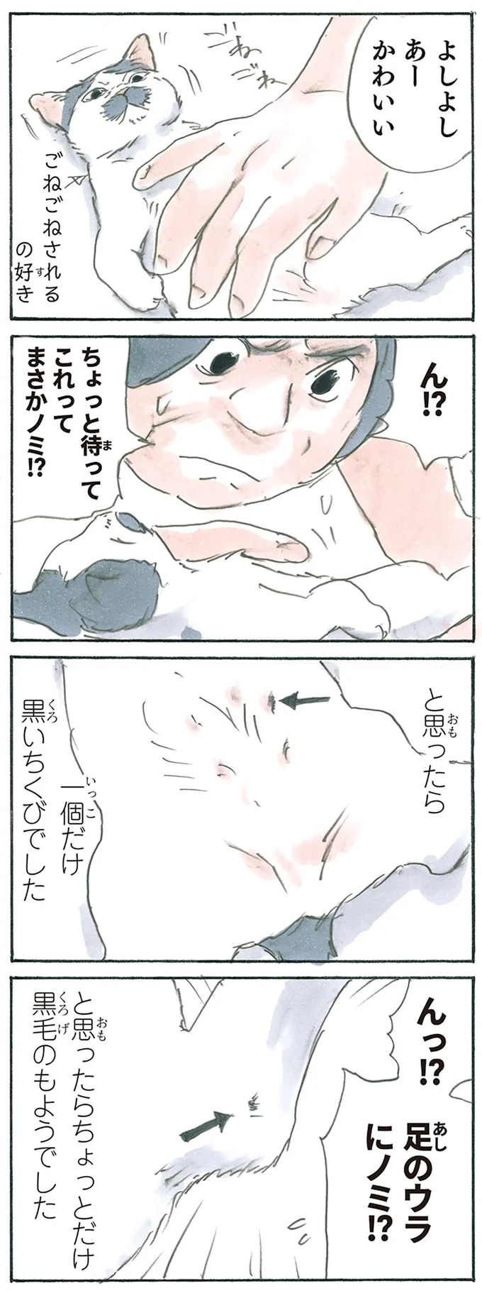 疑ってごめんね