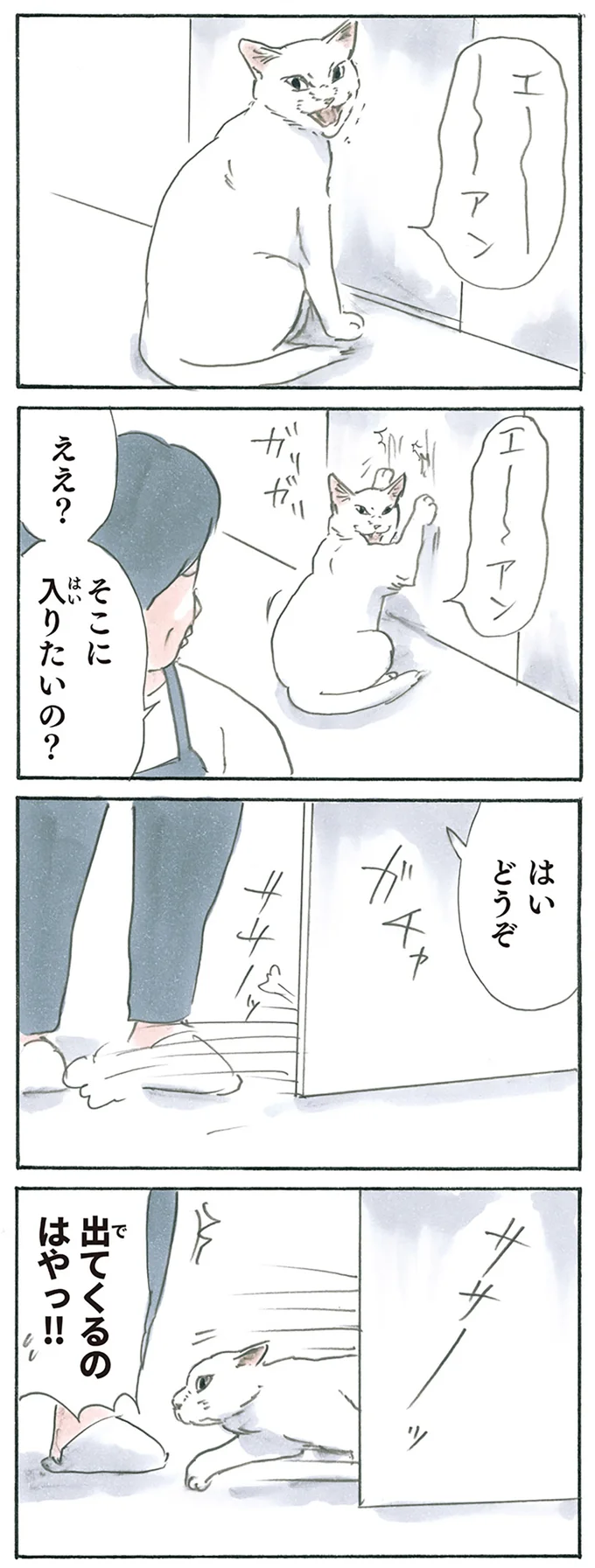 出てくるのはや!!