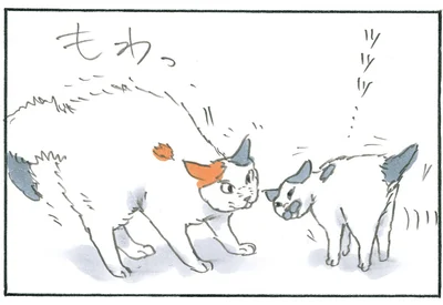 猫らしからぬ？