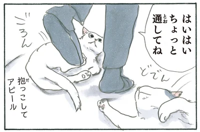 抱っこしてアピール