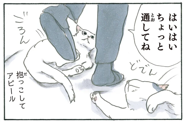  「おかえり頭突き」に「抱っこアピール」！ お父さんへの猫たちの歓迎