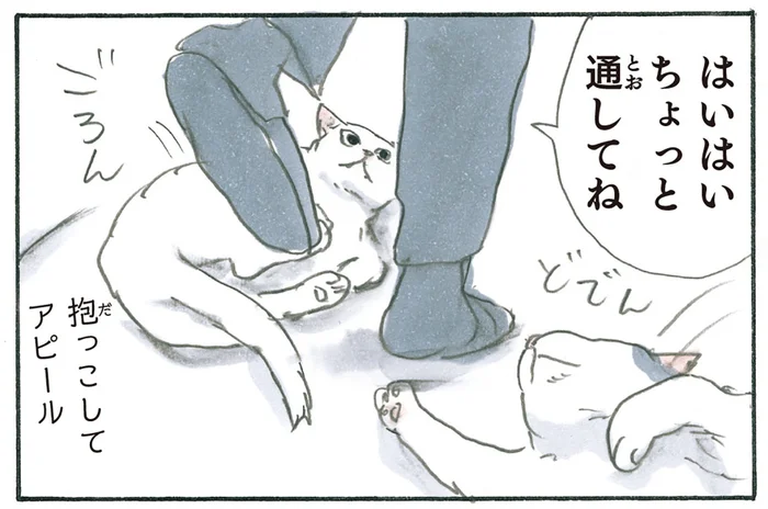  「おかえり頭突き」に「抱っこアピール」！ お父さんへの猫たちの歓迎