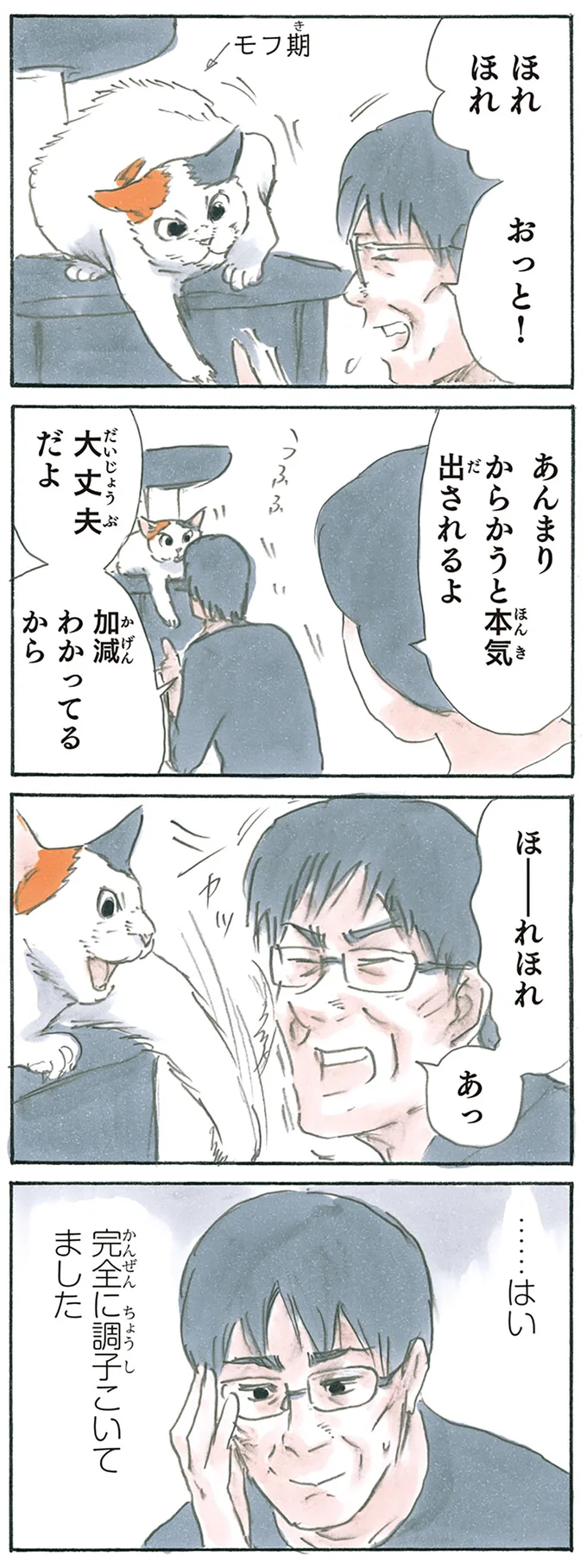 猫の加減