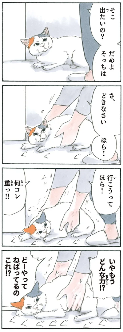 謎のふんばり力