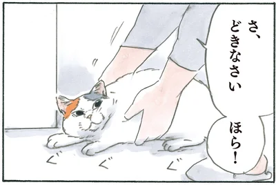 さ、どきなさい！