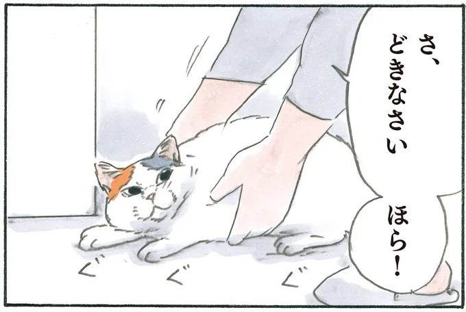 さ、どきなさい！