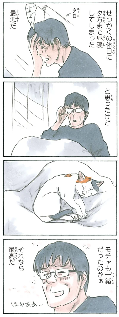 猫と一緒なら