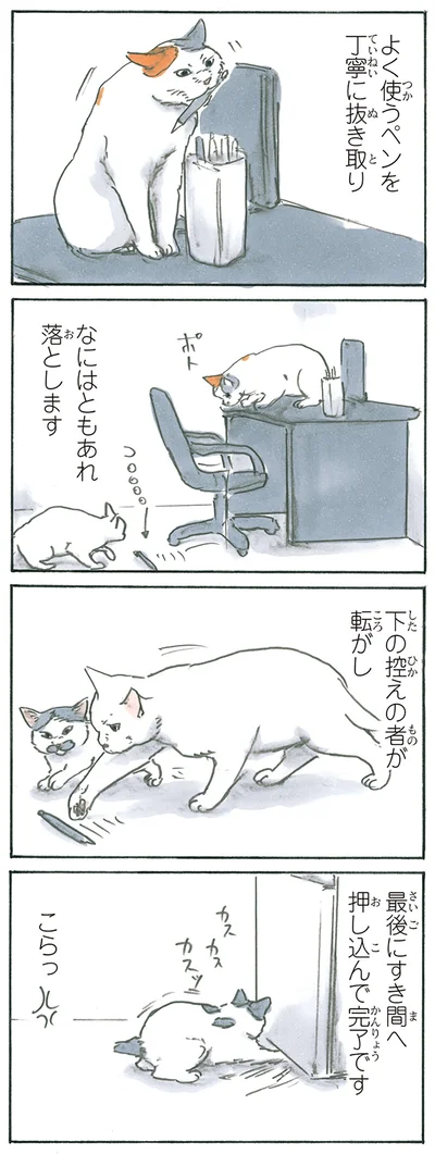 猫のお仕事