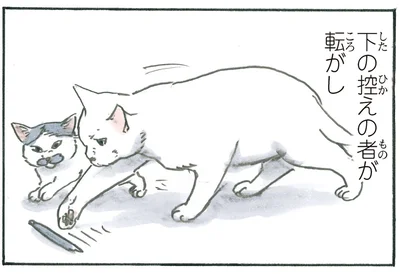 見事なコンビネーション