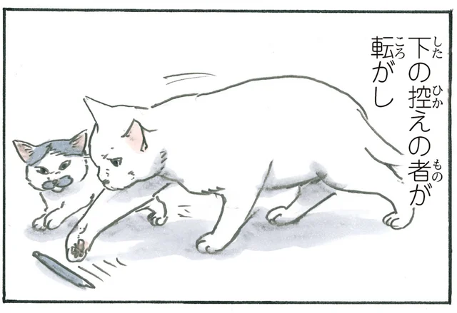 見事なコンビネーションやめて！ よく使うペンが猫たちによって消えてしまいます