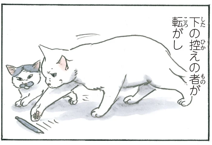 見事なコンビネーションやめて！ よく使うペンが猫たちによって消えてしまいます