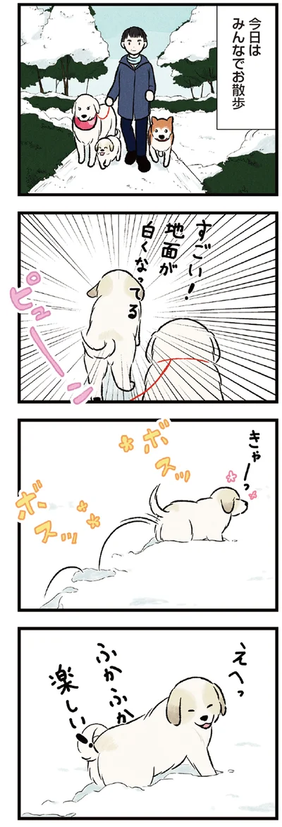 今日はみんなでお散歩