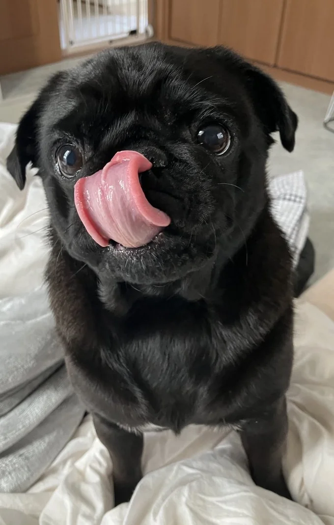 おめめがきゅるるん♪▶幸せを感じる瞬間(⇒次へ)