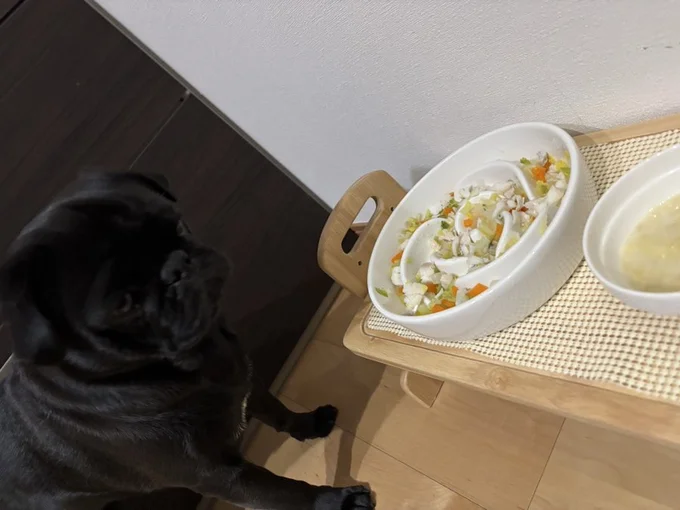 栄養バランスのいいステキなごはんを食べるつくねくん▶ドックランでの過ごし方（⇒次へ）