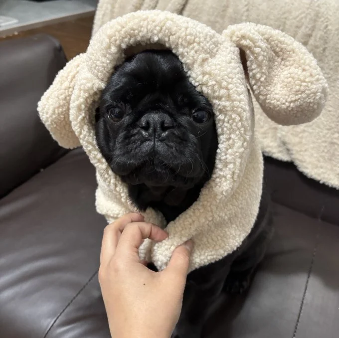 あたたかそう！似合っています♪▶腕枕で溶けるつくねくん（⇒次へ）