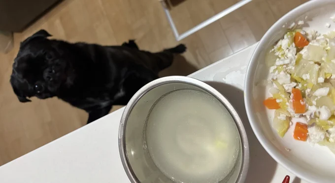 それ、ボクのごはんですよね？▶食べ物を待つ時の目は真剣（⇒次へ）