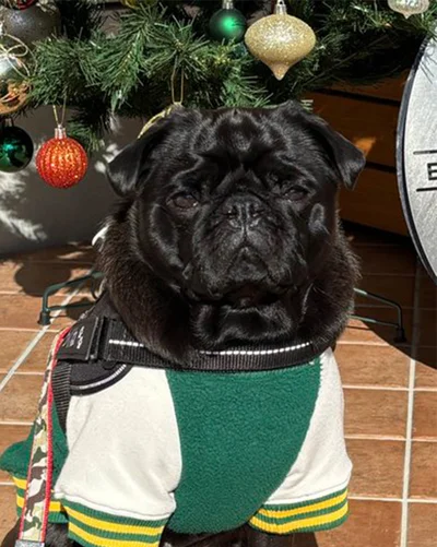 日向ぼっこ、最高！▶飼い主さん手作りの帽子（⇒次へ）