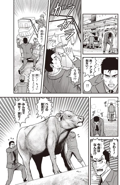 今度はなんだ！？