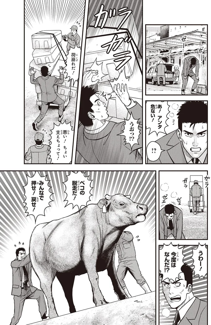 今度はなんだ！？