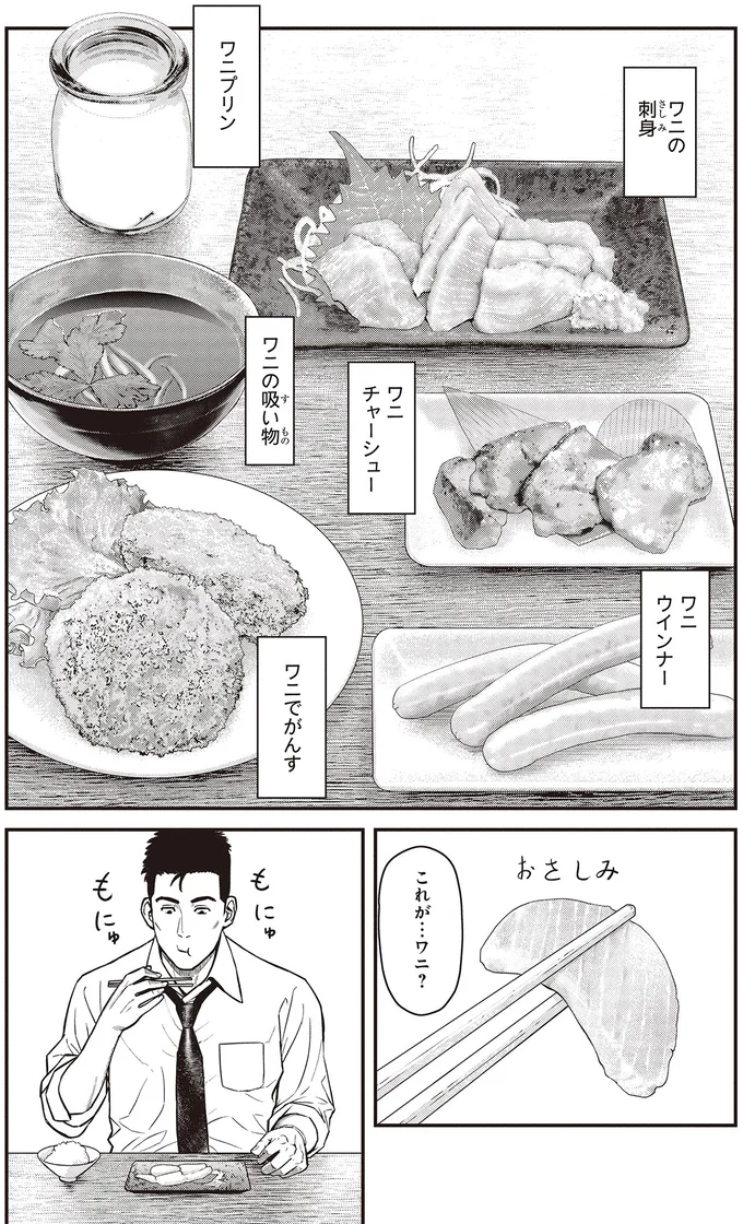 これが…ワニ？