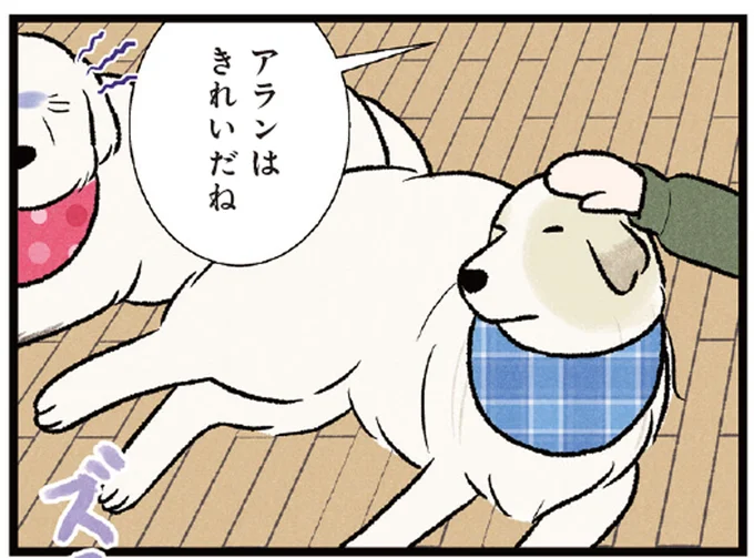 「わたしのこともほめなさいよ！」大型犬のジェラシーに飼い主も困惑