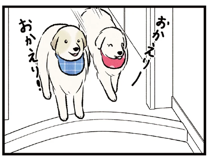 お父さんが帰ると玄関でお出迎えする愛犬たち。息子が帰ってくると？