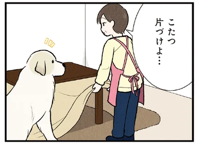 こたつが大好きな大型犬。飼い主がこたつを片付けようとしたら