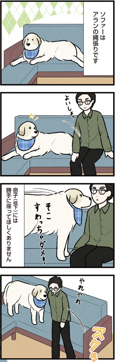 ソファーはアランの縄張りです