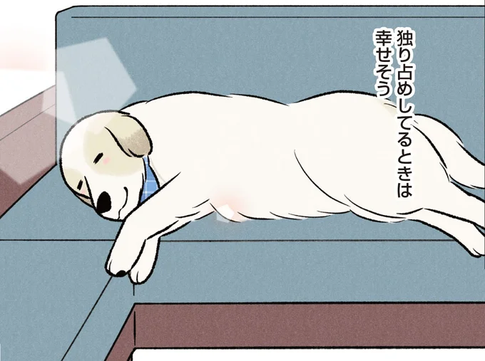 独り占めしてるときは幸せそう