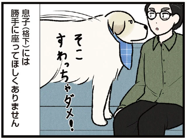 「格下」には座らせない！ ソファを縄張りにする大型犬が超厳しい