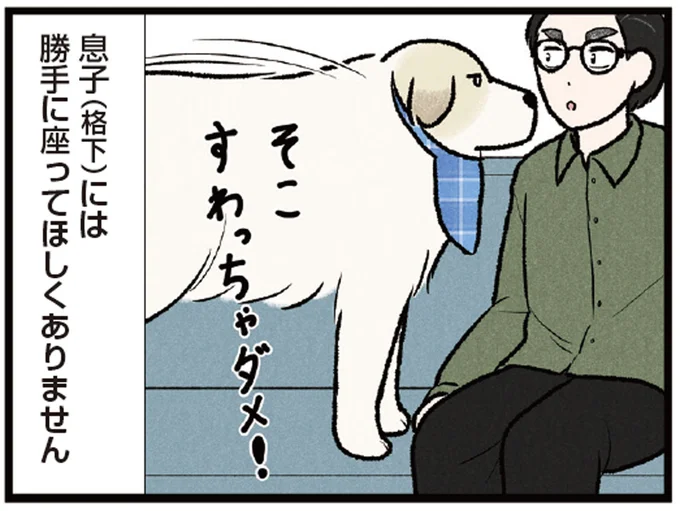 「格下」には座らせない！ ソファを縄張りにする大型犬が超厳しい