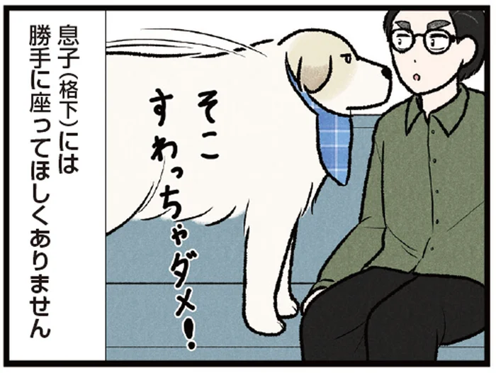 「格下」には座らせない！ ソファを縄張りにする大型犬が超厳しい