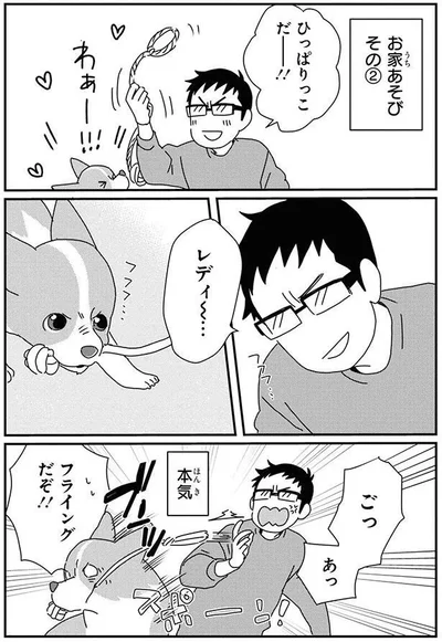 ひっぱりっこだー！！