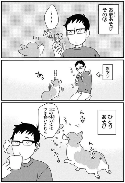 犬の体力にはつき合いきれん