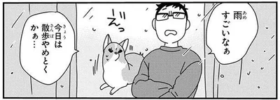 雨の日はワンコと室内遊び。元気すぎる愛犬と賢く遊ぶコツ