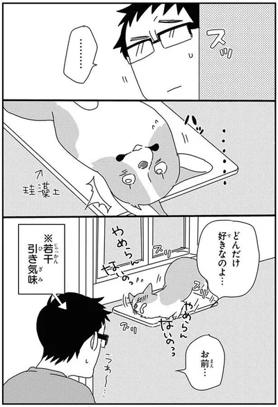 どんだけ好きなのよ…