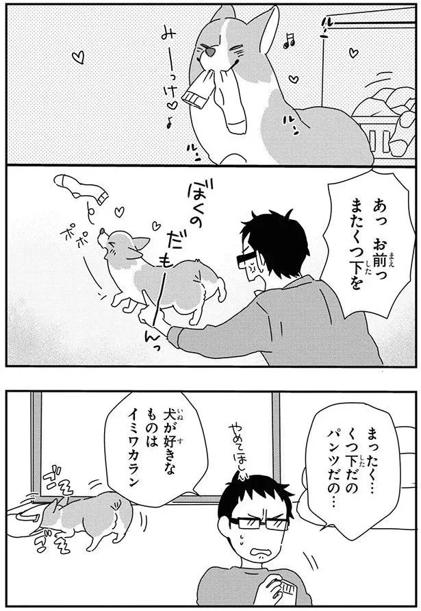 あっ　お前っ　またくつ下を