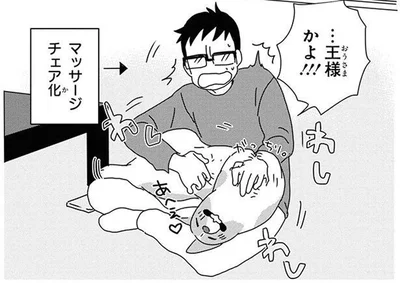 まるで王様扱い！飼い主による手厚いホームケアの成果