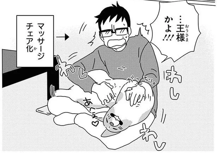 王様のように大切に扱われているワンコ。飼い主によるホームケアの成果は？