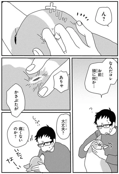 大丈夫？痛くないのか？