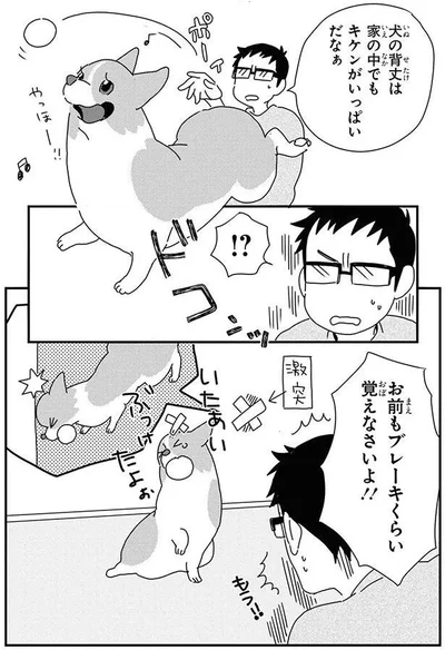 お前もブレーキくらい覚えなさいよ！！