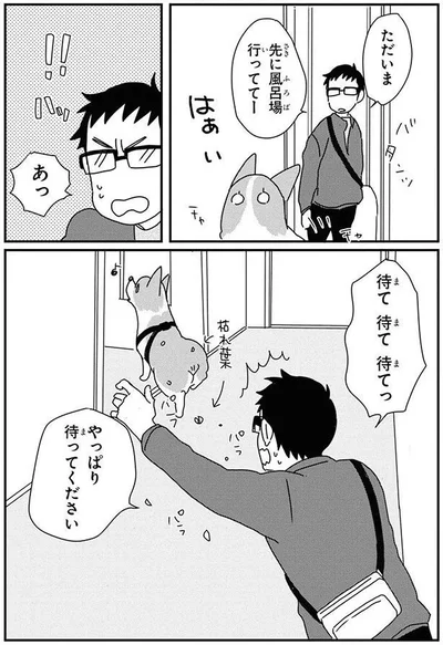 やっぱり待ってください