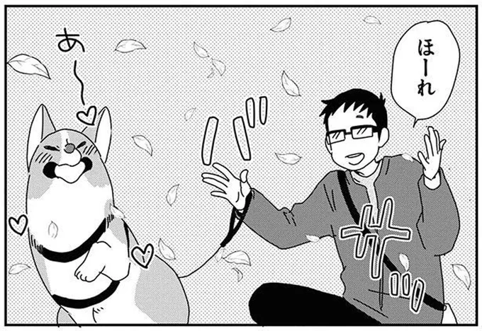 散歩中に愛犬と落ち葉遊び。楽しいひとときのはずが、すぐに後悔！