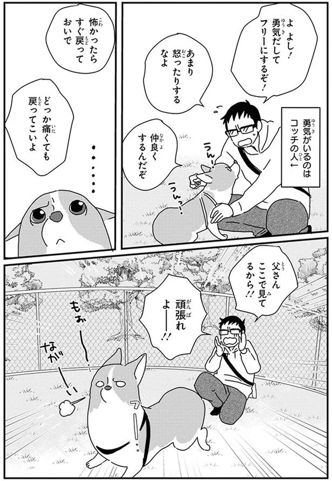 頑張れよー！！