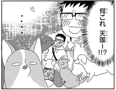 何これ天国ー!!?ドッグランでハーレム状態の飼い主さん