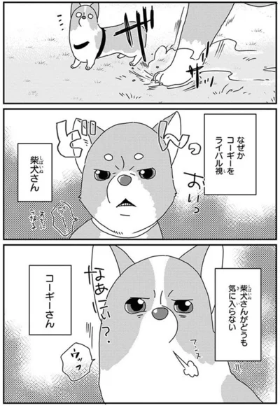 『あしょんでよッ〜うちの犬ログ〜10』より