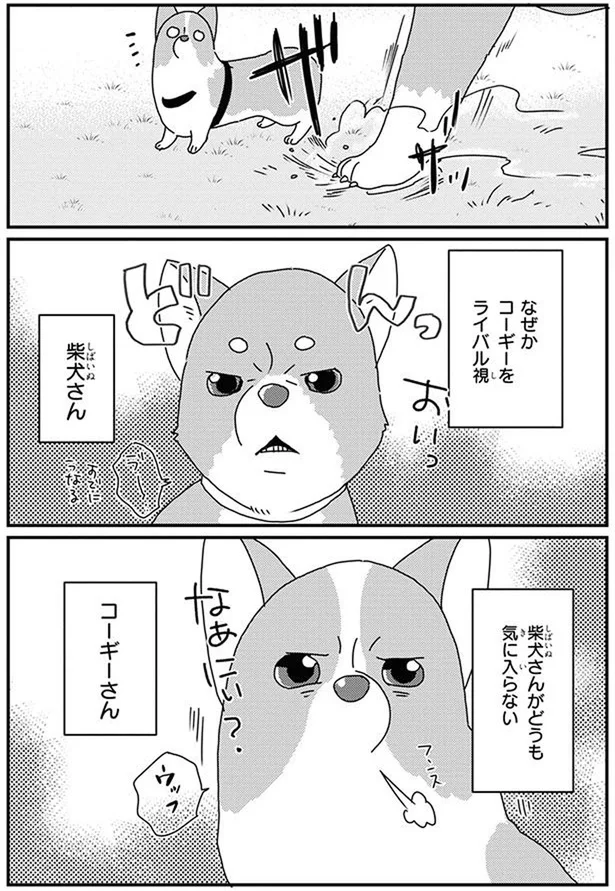 『あしょんでよッ〜うちの犬ログ〜10』より