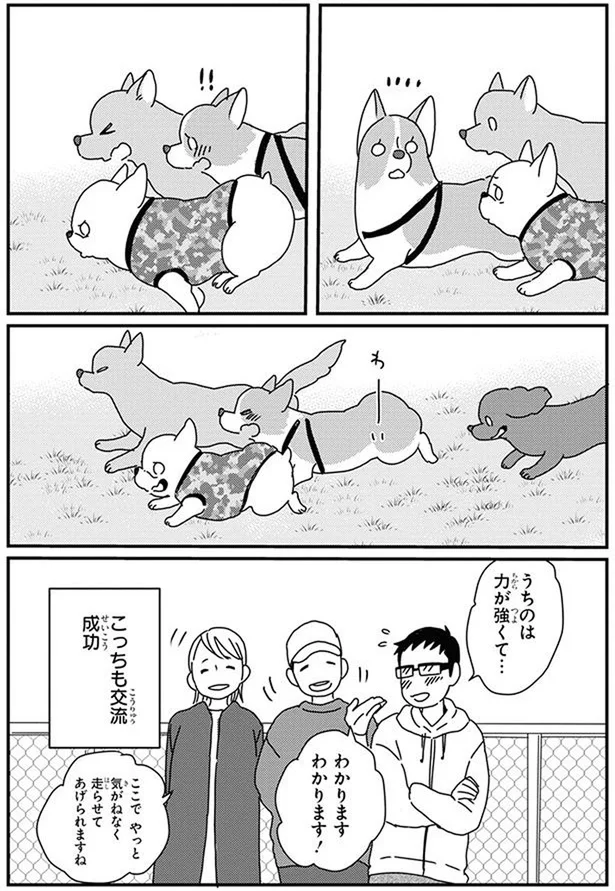 『あしょんでよッ〜うちの犬ログ〜10』より